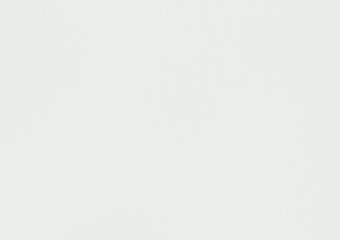 Levant (FR Blackout), Radiant White - Roller Blind - Image 6